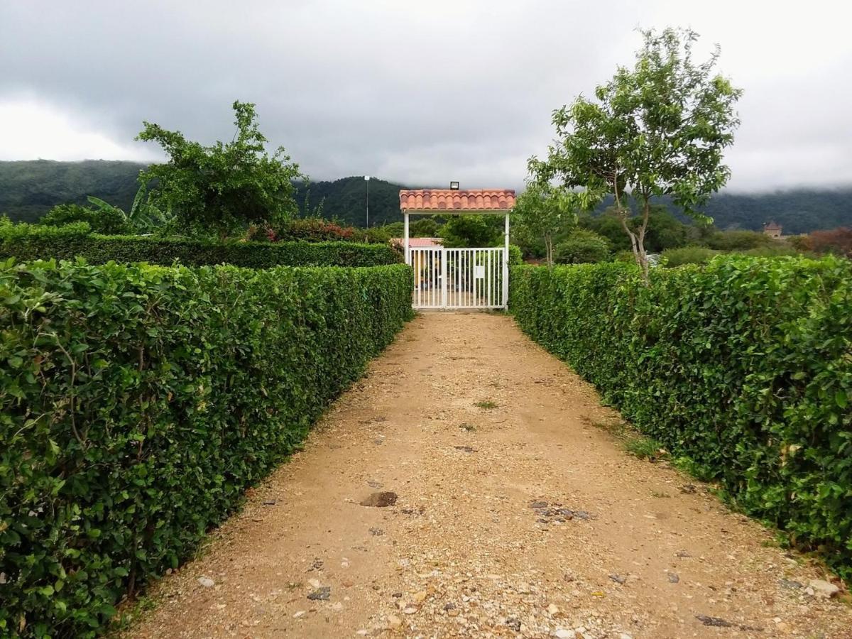 C&H Casa Campestre El Oasis Ricaurte Girardot Bed & Breakfast Eksteriør bilde