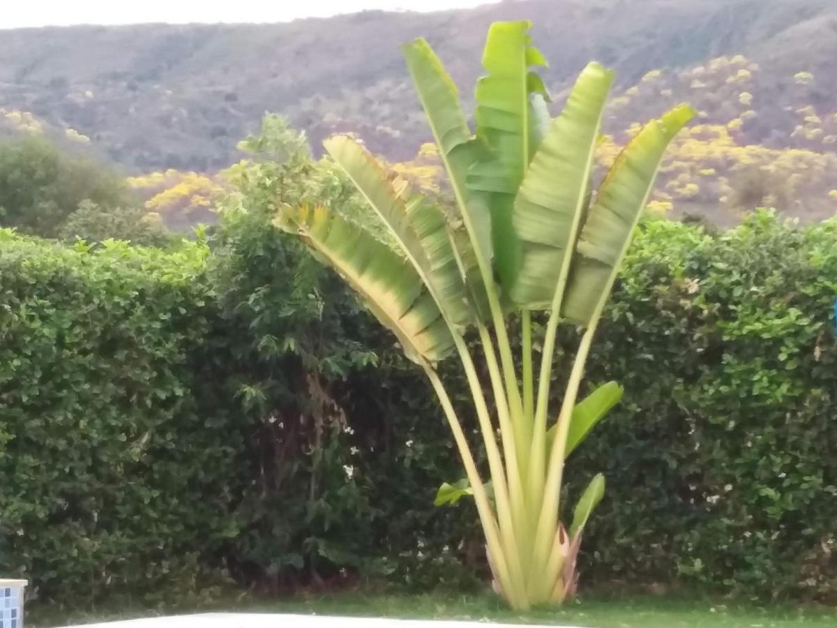 C&H Casa Campestre El Oasis Ricaurte Girardot Bed & Breakfast Eksteriør bilde